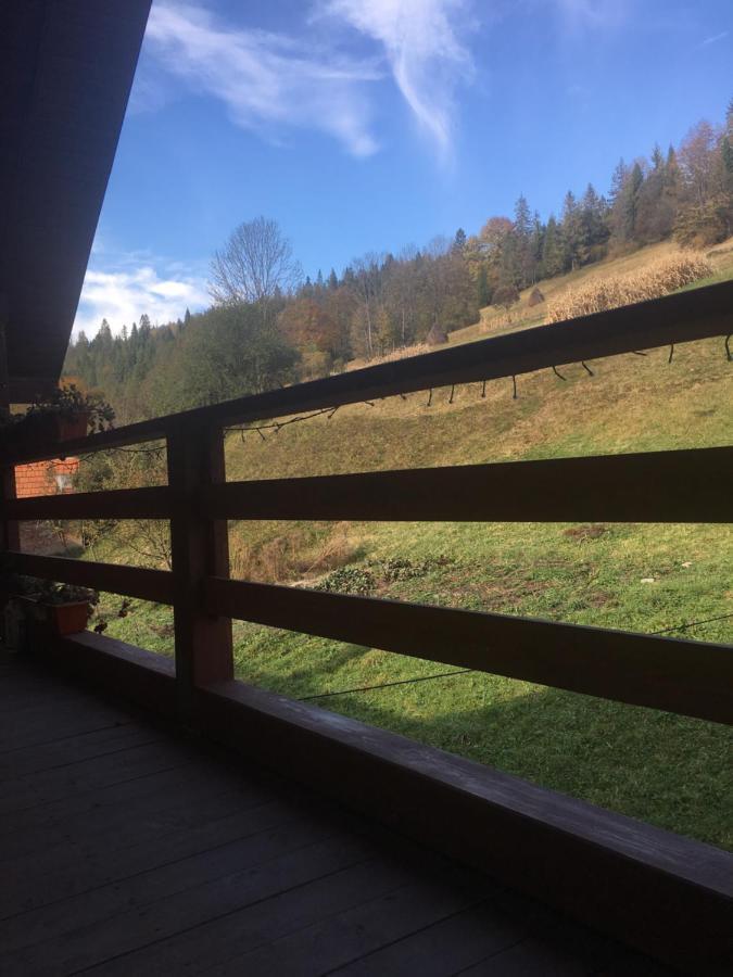 Садиба У Насті Nizhniy Studenyy Exterior foto